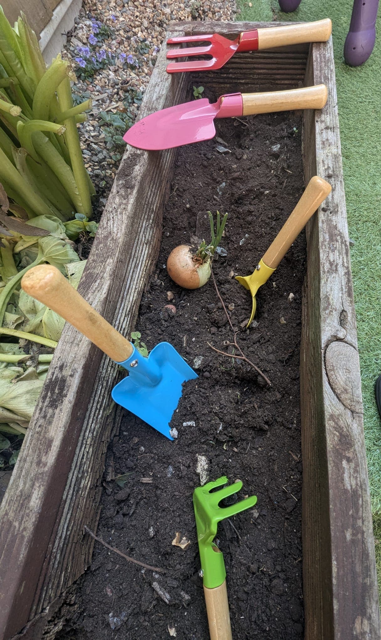 Sensory Outdoor Exploration
